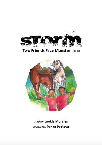 storm-img